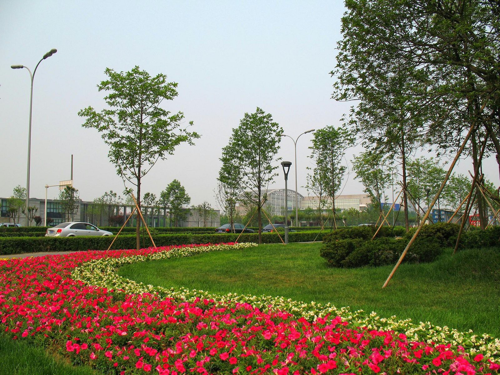 城市绿化