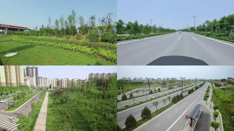 城市绿化