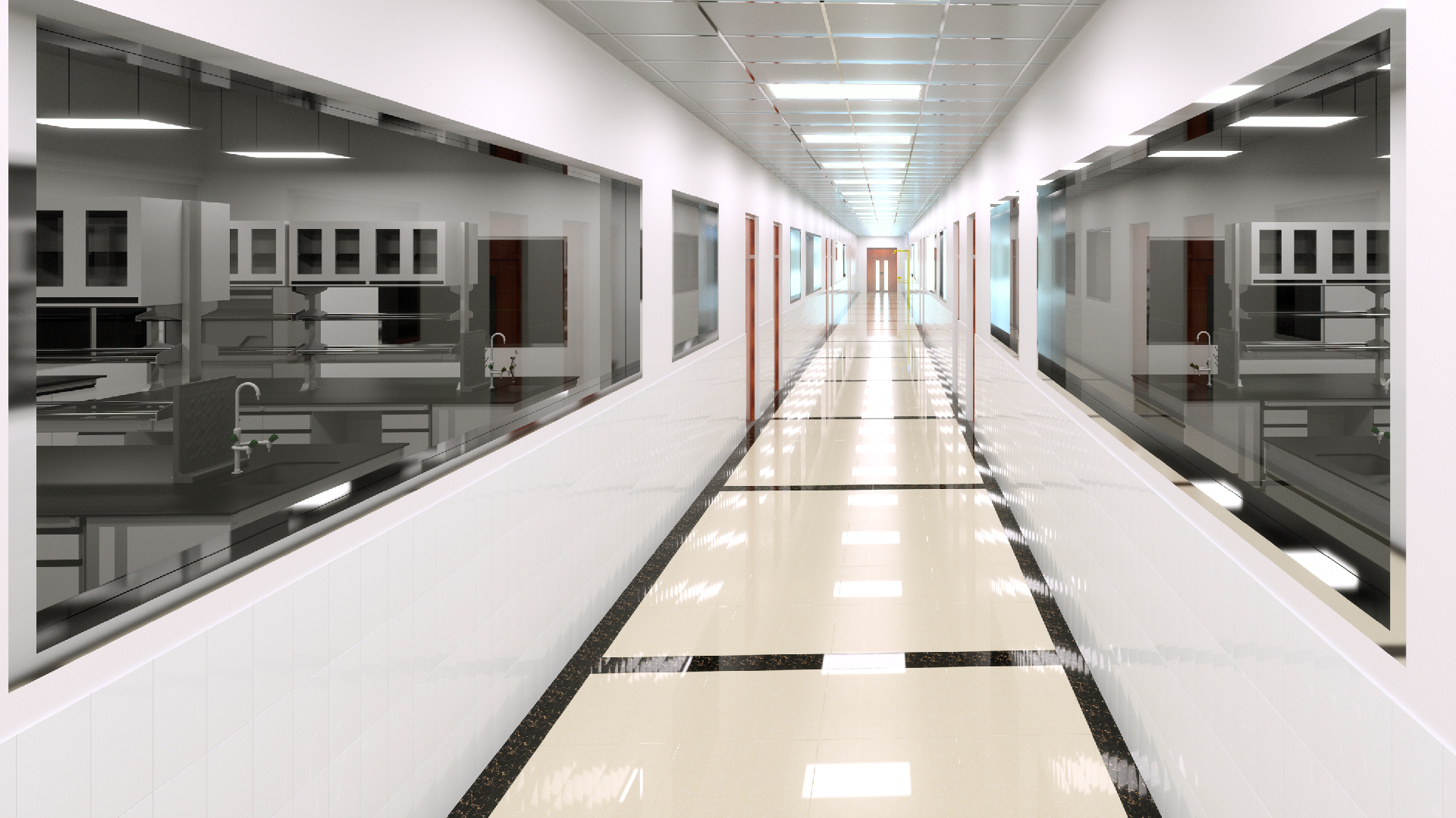 C2 (1).png